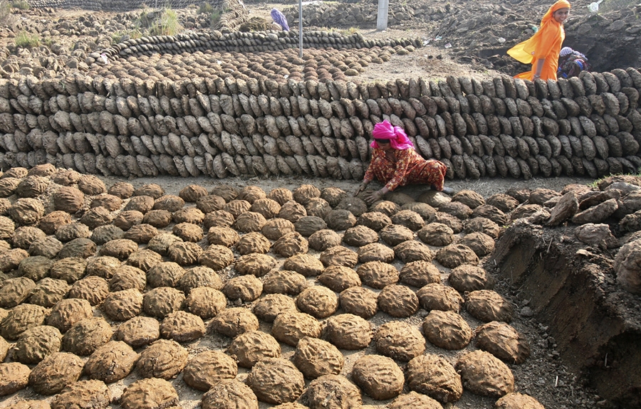 These are 30 small businesses that can be done with cow dung that will make a lot of money.